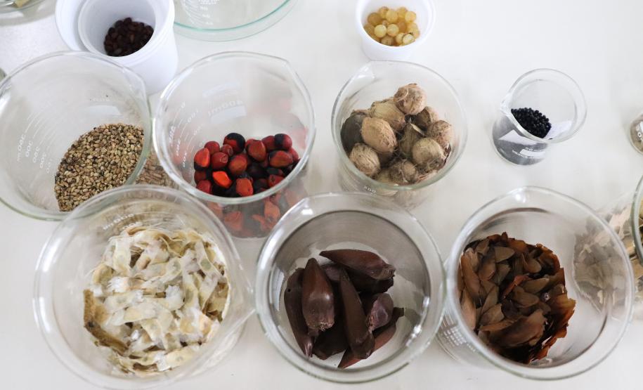 CAMPO E FRUTOS E VIVEIROS