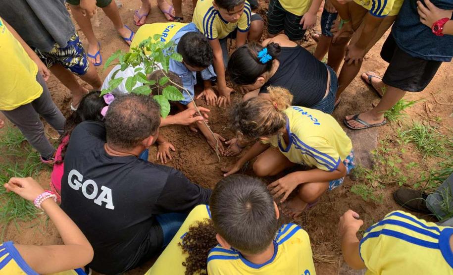 Ações elaboradas pelo IAT no Estado recuperaram mais de 6 hectares de mata ciliar em Áreas de Proteção Ambiental (APP)