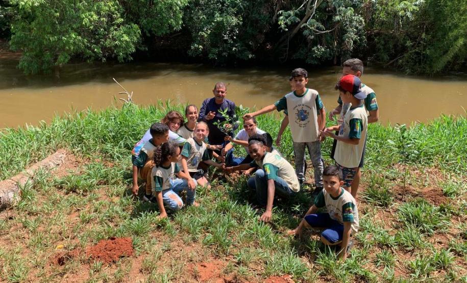 Ações elaboradas pelo IAT no Estado recuperaram mais de 6 hectares de mata ciliar em Áreas de Proteção Ambiental (APP)