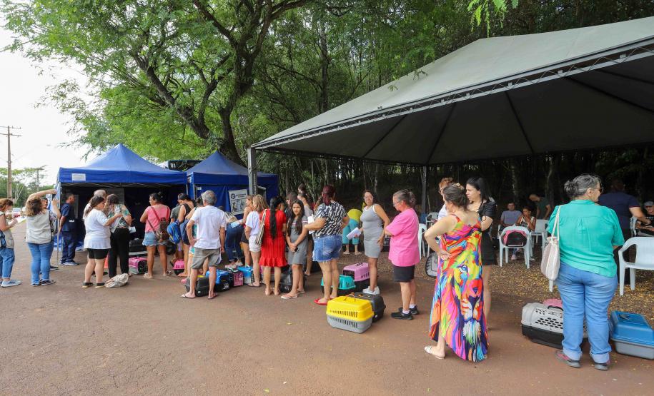 Foto de fila do Castrapet