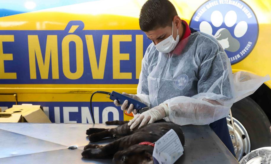 Foto de veterinário do Castrapet