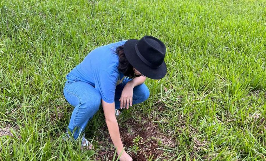 Ações ambientais para comemorar o Dia do Rio preveem a restauração de quatro hectares de mata ciliar em diferentes pontos do Paraná.