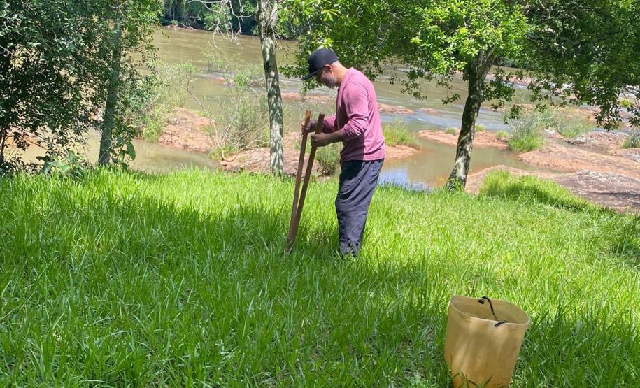 Ações ambientais para comemorar o Dia do Rio preveem a restauração de quatro hectares de mata ciliar em diferentes pontos do Paraná.