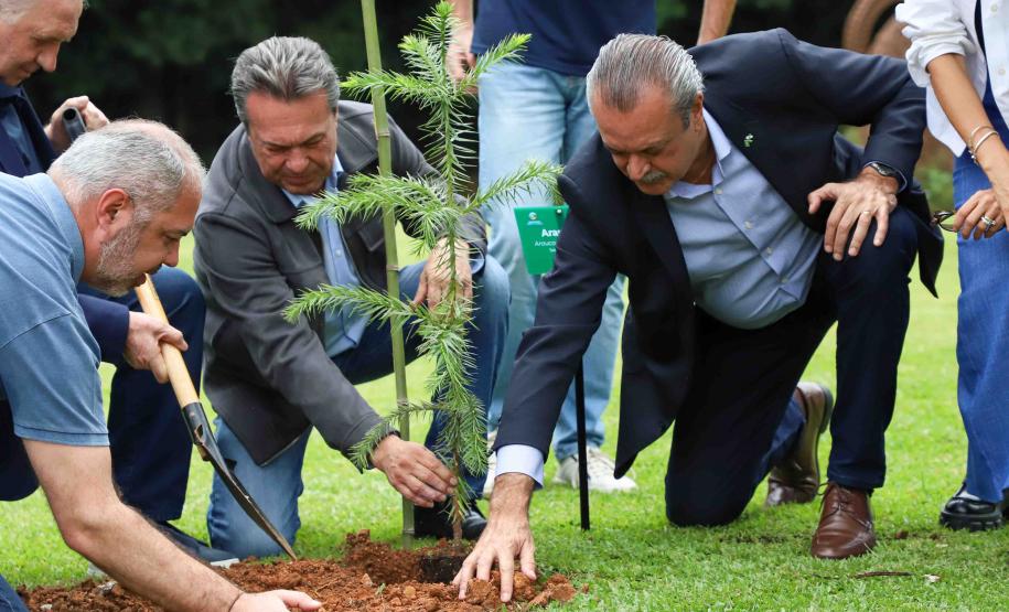 MON se transforma na casa da "muda 10 milhões" do programa Paraná Mais Verde