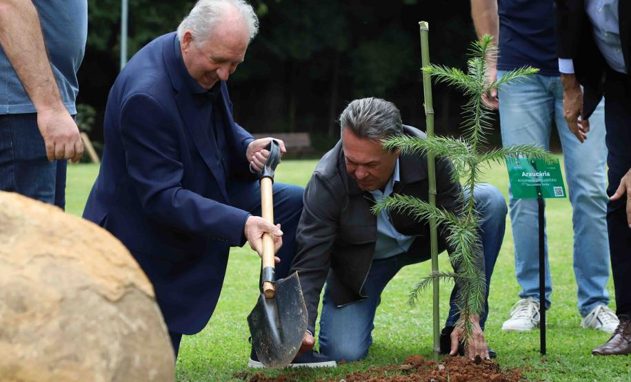 MON se transforma na casa da "muda 10 milhões" do programa Paraná Mais Verde