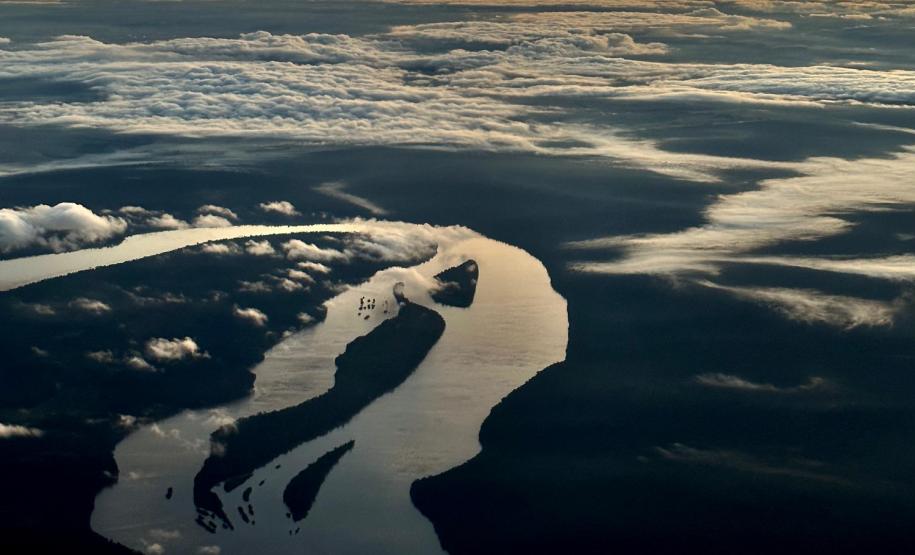 Dia do Iguaçu: rio que corta o Paraná receberá peixes nativos do Paraná durante a segunda fase do projeto Rio Vivo.