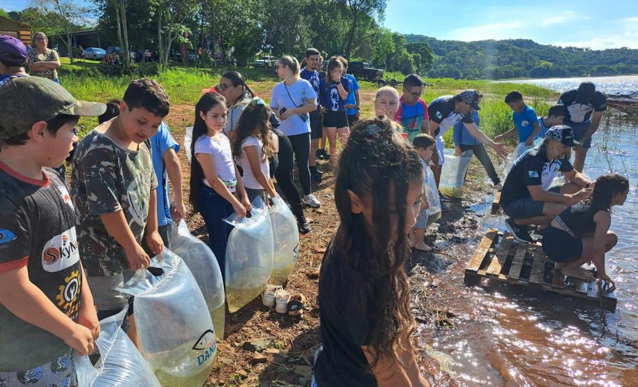 Na primeira fase do Rio Vivo, entre 2021 e 2022, foram soltos 1,1 milhão de peixes nativos no Iguaçu.