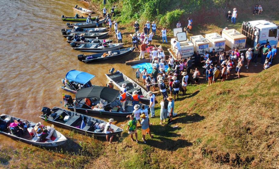 Nova fase do Rio Vivo começa com a soltura de 100 mil peixes no Rio Ivaí, no Noroeste