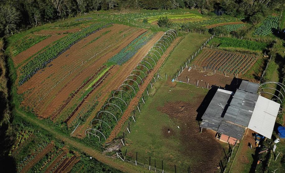 No Noroeste do Paraná, IAT organiza primeiro mutirão para regularização do CAR