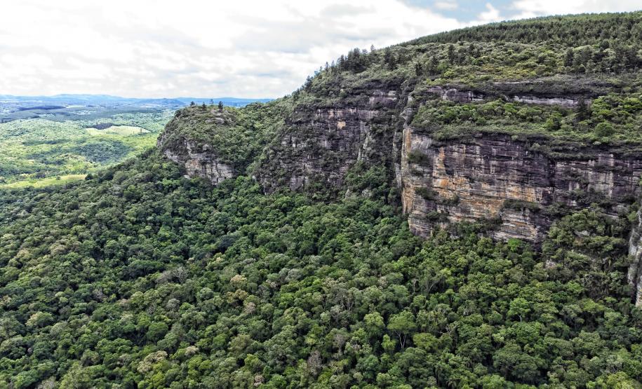 PAISAGEM NATURAL PARANAENSE