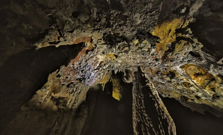 PAISAGEM NATURAL PARANAENSE