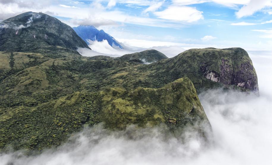 PAISAGEM NATURAL PARANAENSE