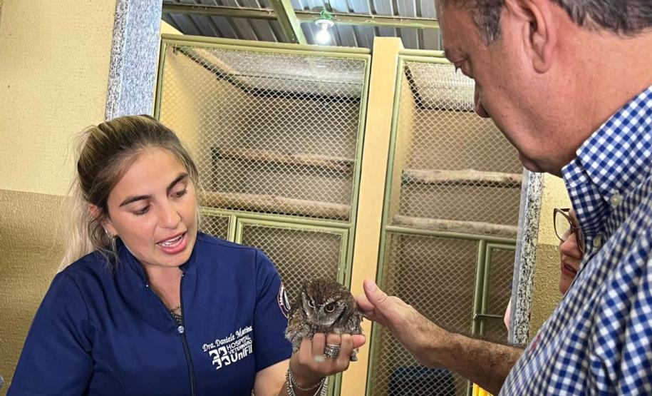 Foto de coruja resgatada