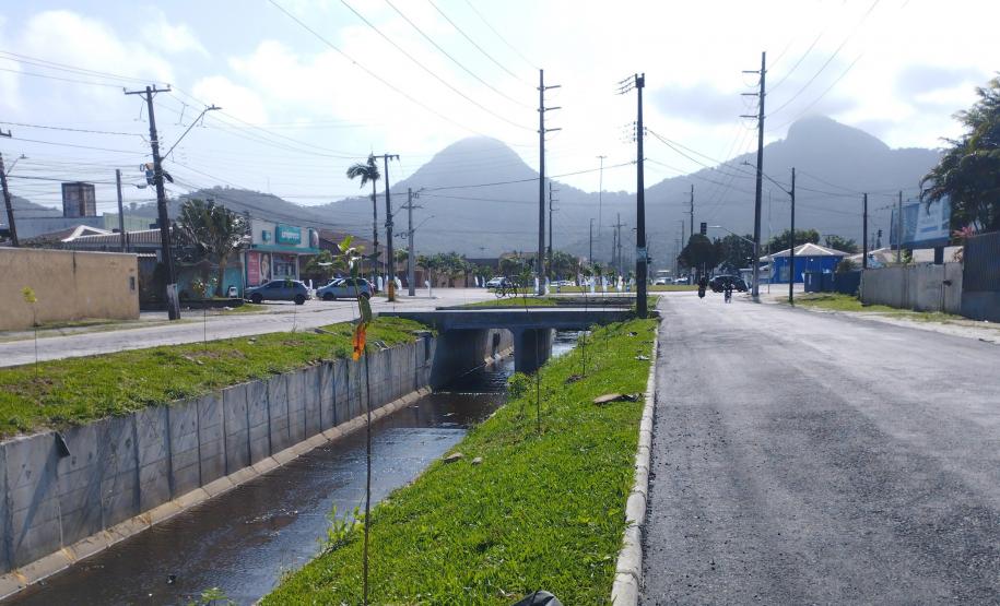 Matinhos: IAT finaliza reflorestamento do Canal da Avenida Paraná com 576 manacás-da-serra