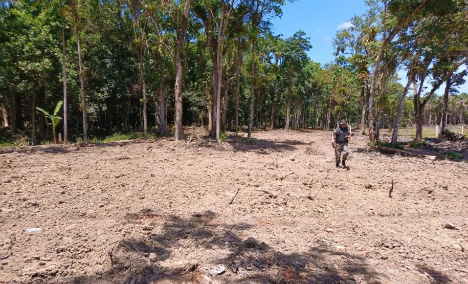 Instituto Água e Terra alerta para golpe do licenciamento ambiental no Litoral do Paraná