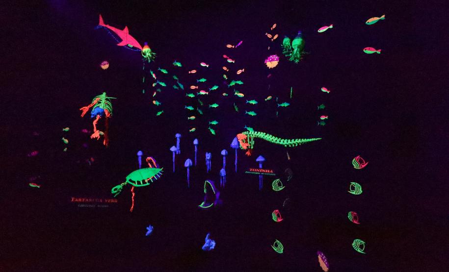 Aquário Marinho de Paranaguá opção em dias de chuva na temporada de verão