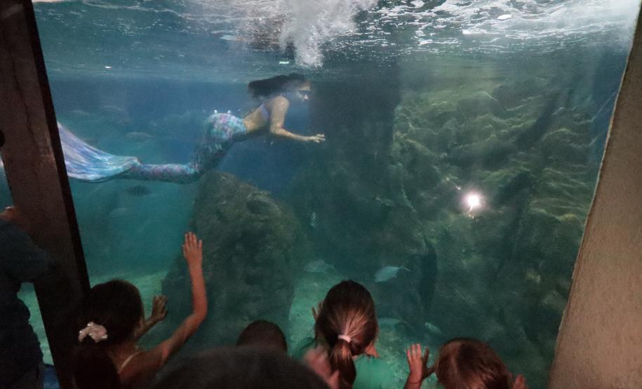 Aquário Marinho de Paranaguá opção em dias de chuva na temporada de verão