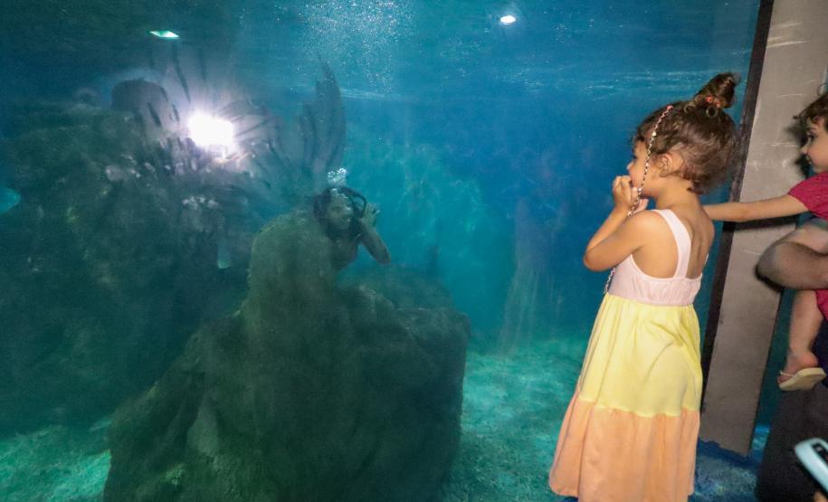 Aquário Marinho de Paranaguá opção em dias de chuva na temporada de verão