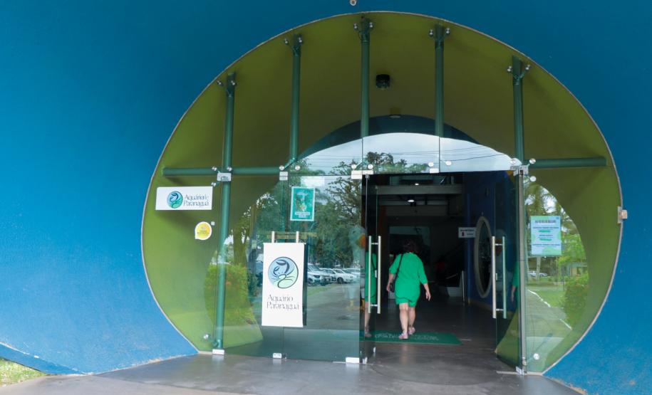 Aquário Marinho de Paranaguá opção em dias de chuva na temporada de verão