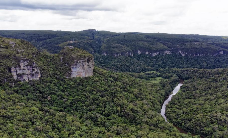 Foto aérea de parque
