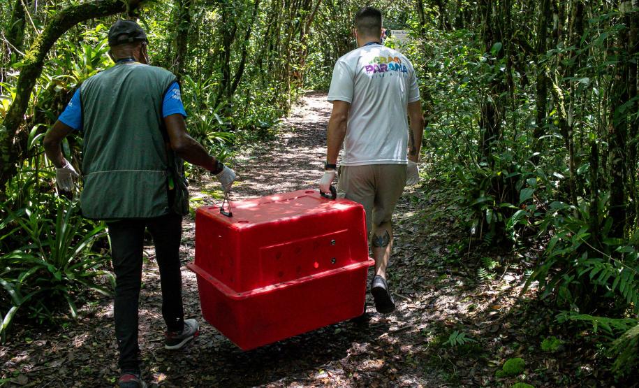 Foto de equipe responsável por devolver o tamanduá