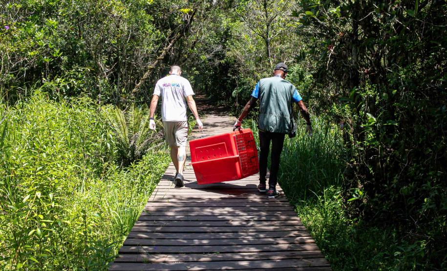 Foto de equipe responsável por devolver o tamanduá