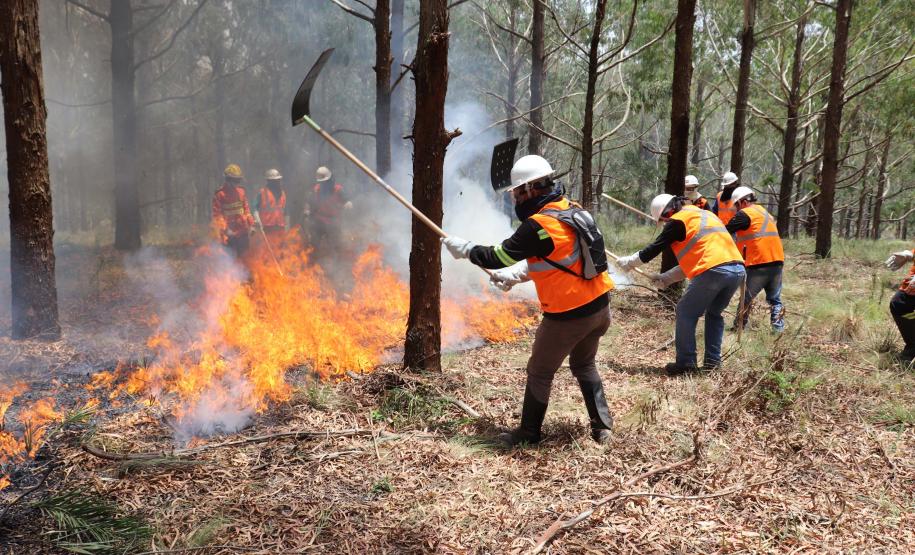 Foto de brigadistas voluntários combatendo incêndio