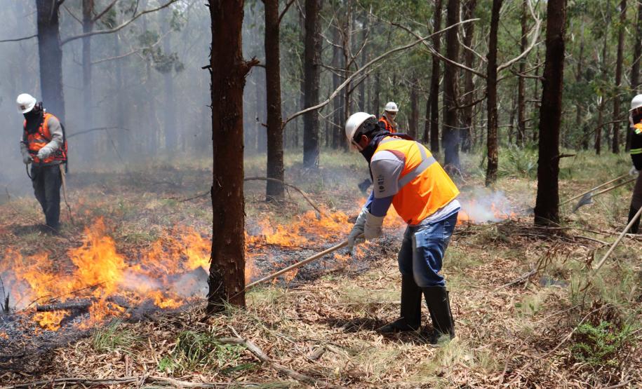 Foto de brigadistas voluntários combatendo incêndio
