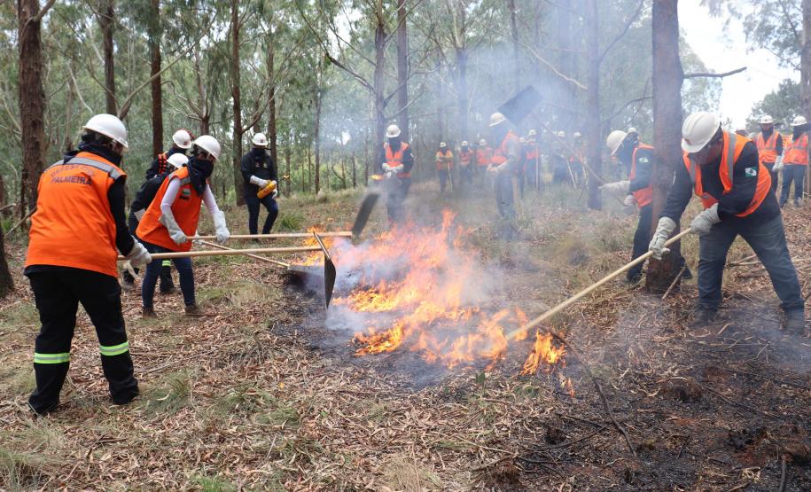 Foto de brigadistas voluntários combatendo incêndio