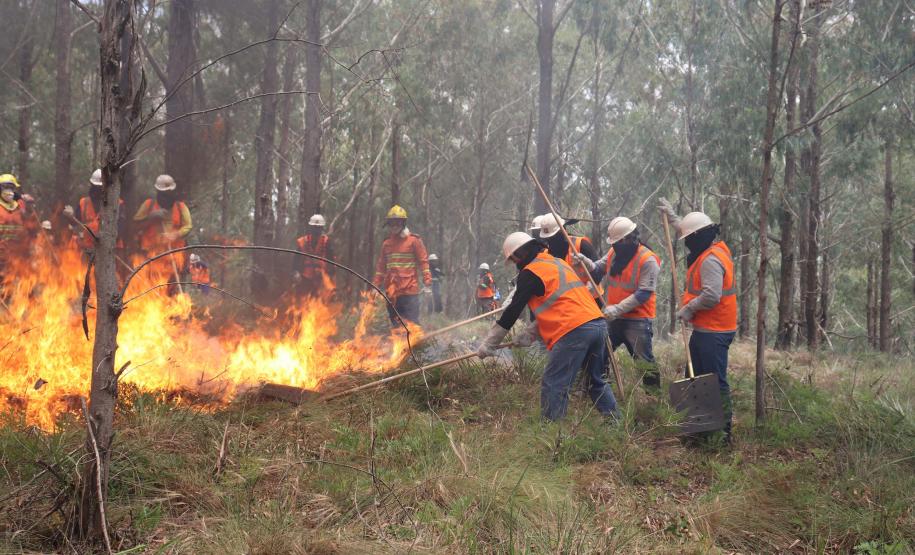 Foto de brigadistas voluntários combatendo incêndio