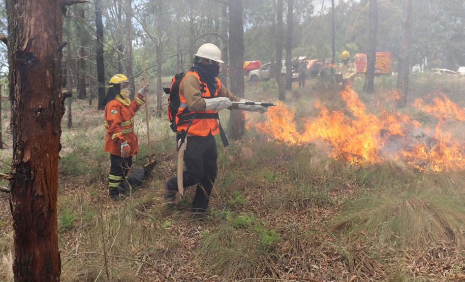 Foto de brigadistas voluntários combatendo incêndio