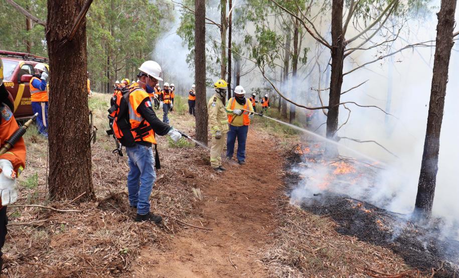 Foto de brigadistas voluntários combatendo incêndio