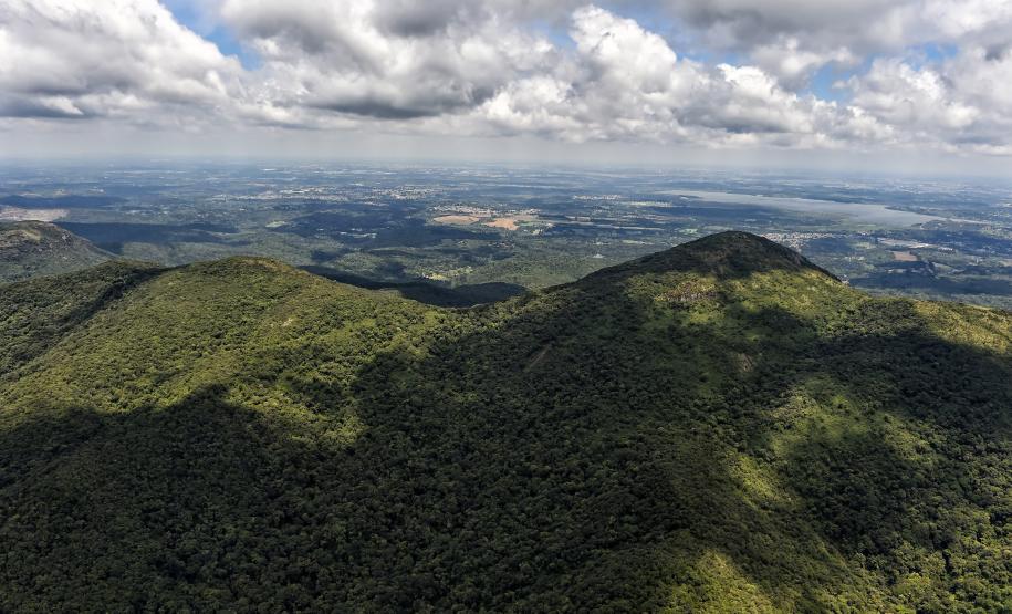 Foto aérea de parque