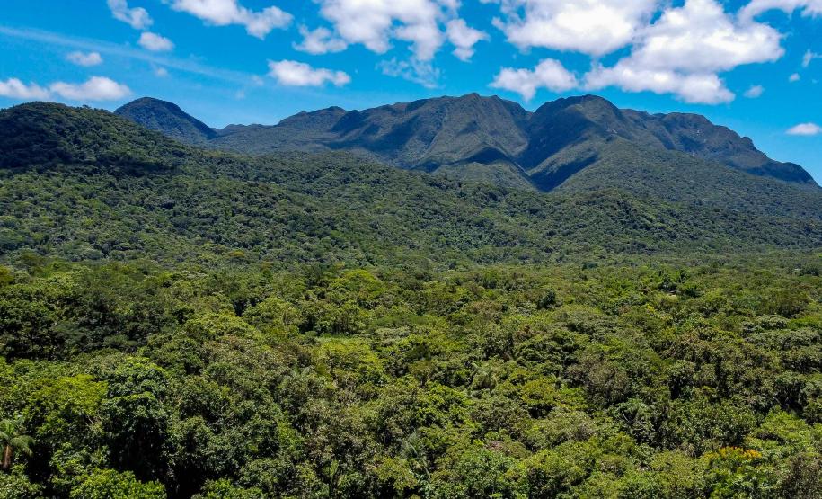 Foto da serra do mar