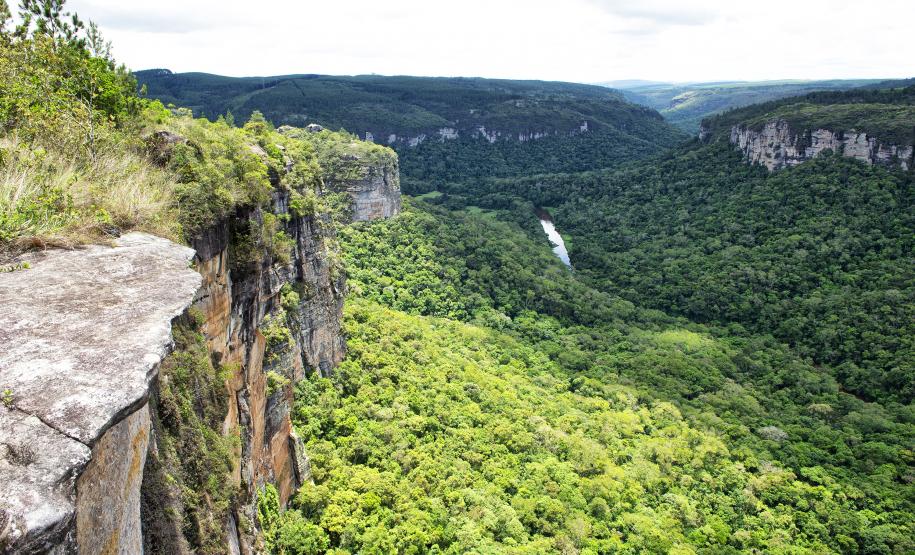 Foto de paisagem natural do Paraná