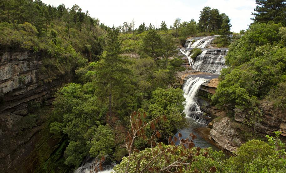 Foto de paisagem natural do Paraná