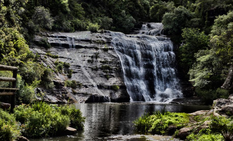 Foto de paisagem natural do Paraná