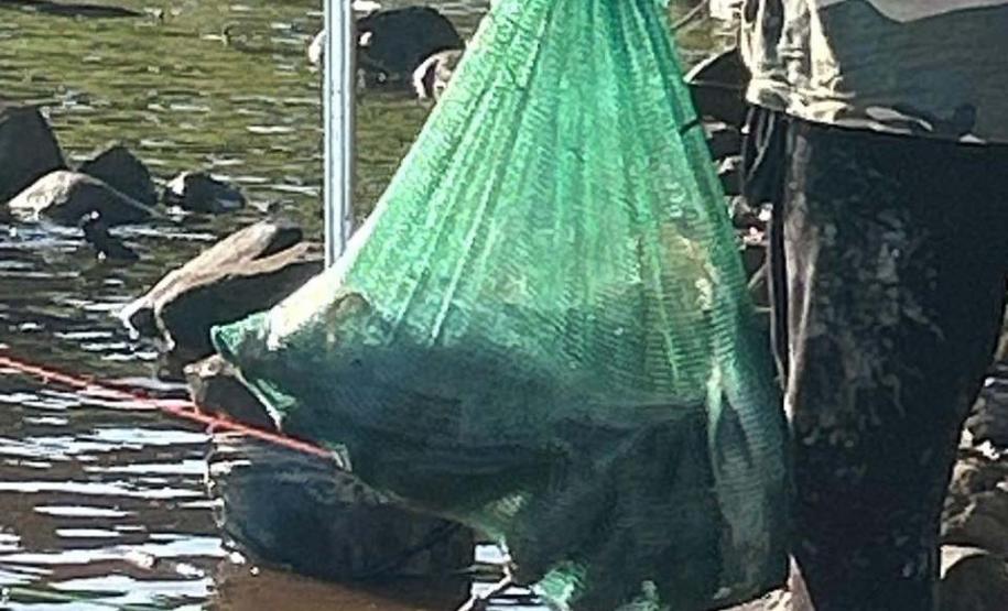 Foto de operação de fiscalização da Piracema