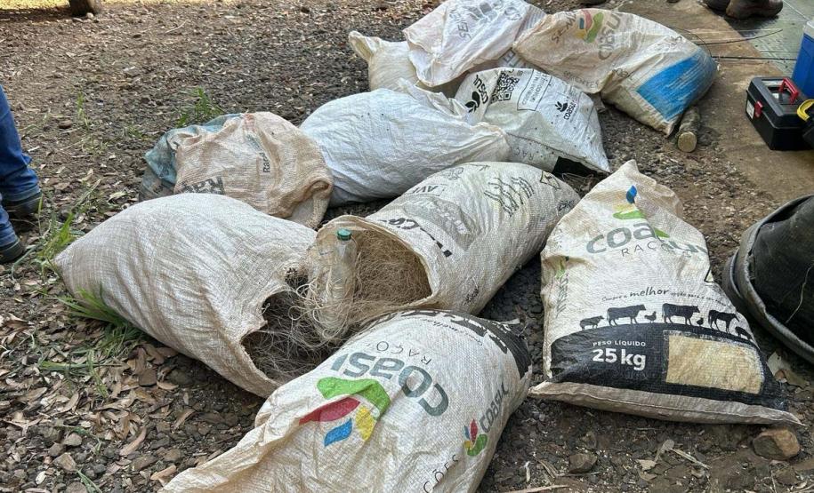 Foto de operação de fiscalização da Piracema