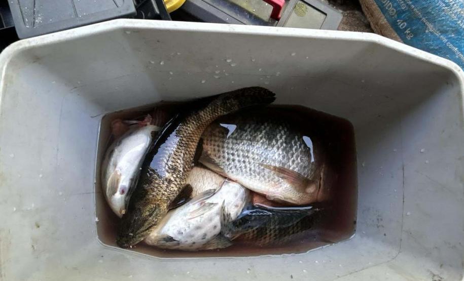 Foto de operação de fiscalização da Piracema