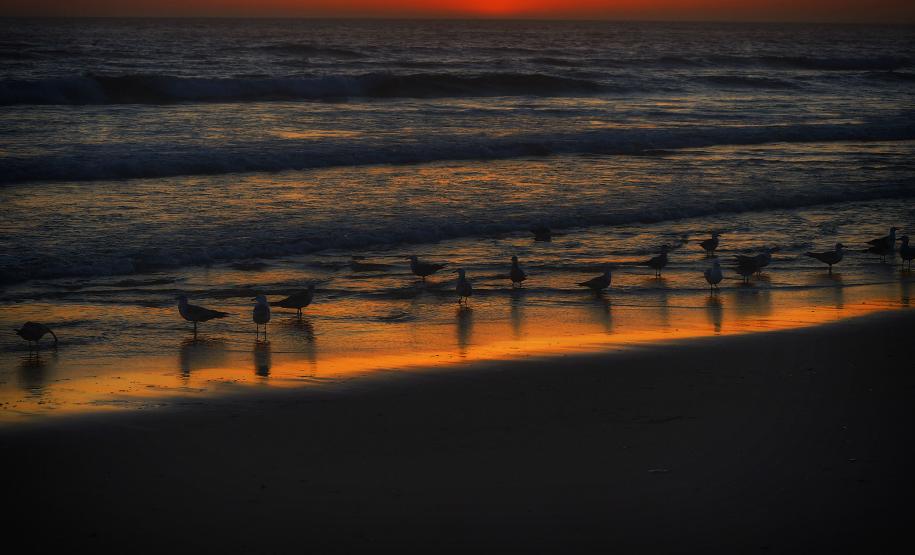 Fotos da Ilha do Mel