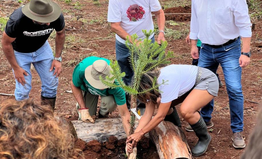 Foto de cerimônia de inauguração da área de preservação
