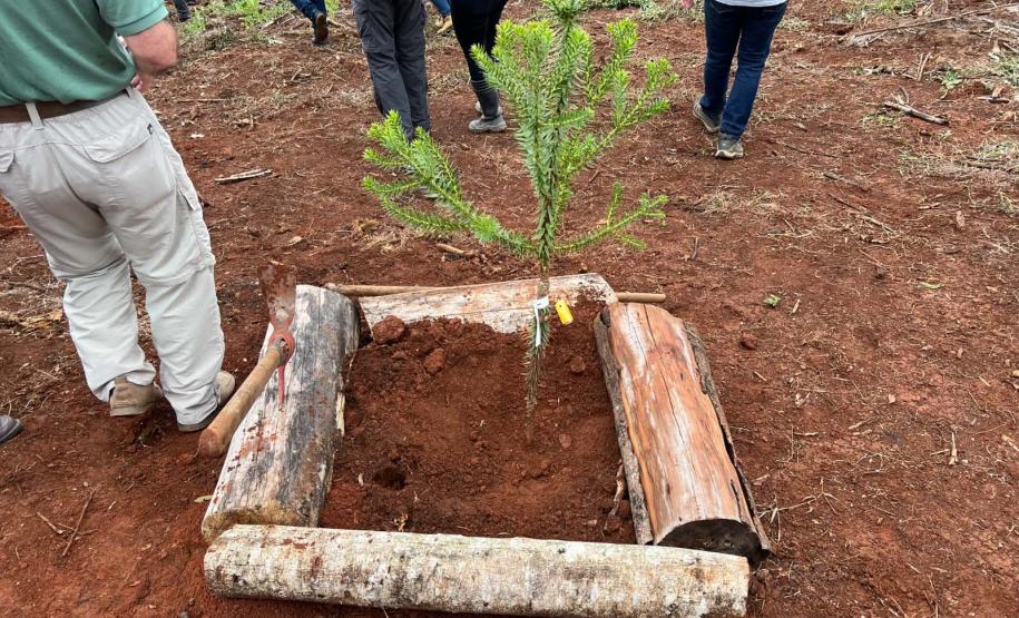 Foto de cerimônia de inauguração da área de preservação