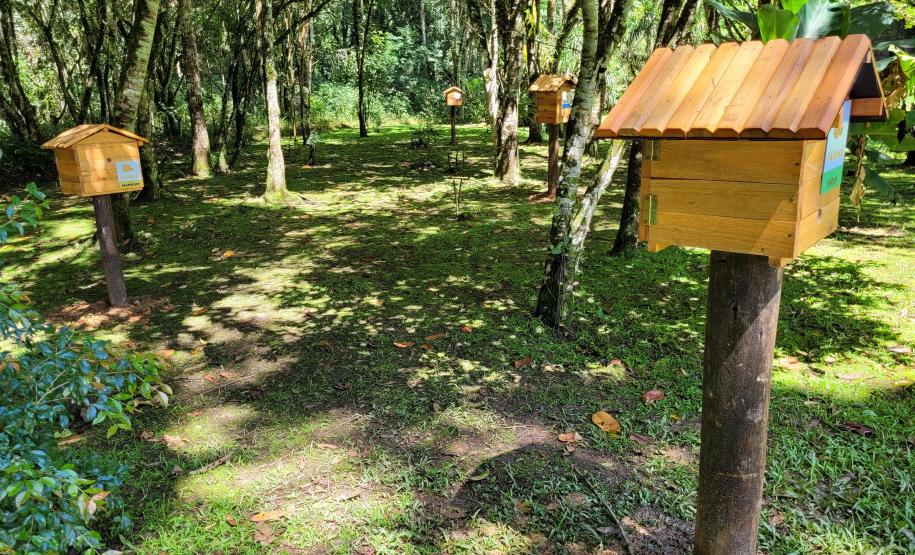Foto de abelhas do Poliniza Paraná