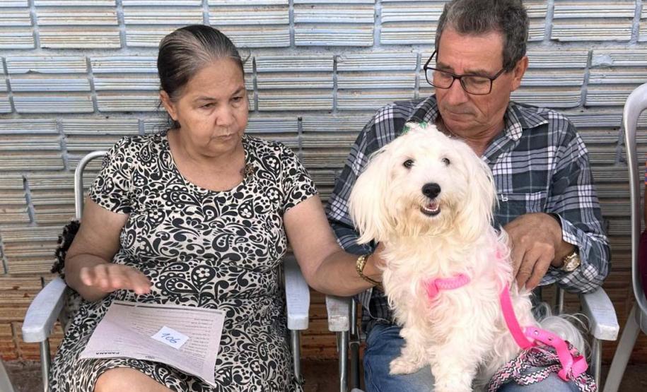 CastraPet Paraná fecha o 4º ciclo