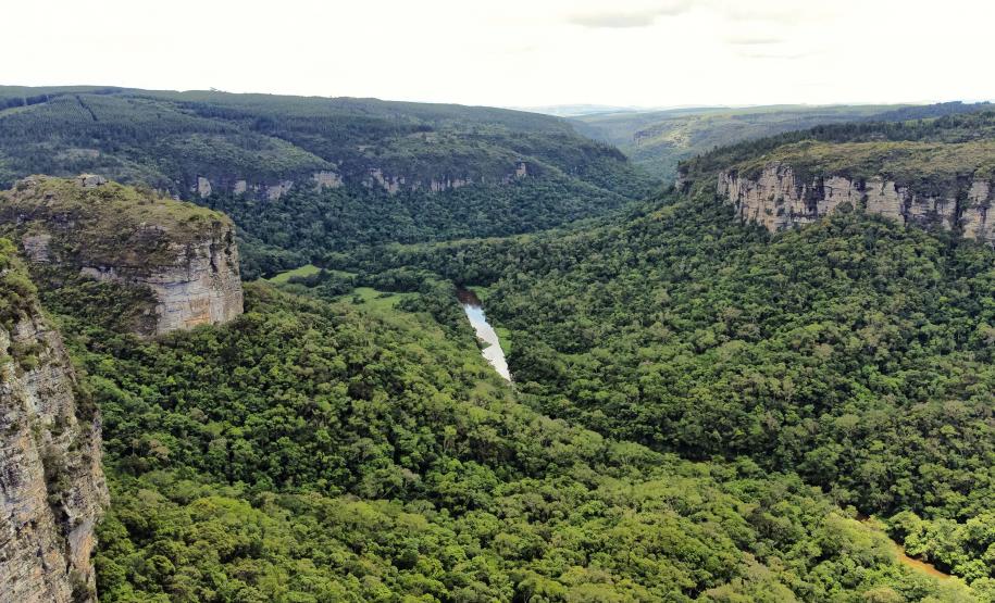Foto de paisagem verde do Paraná
