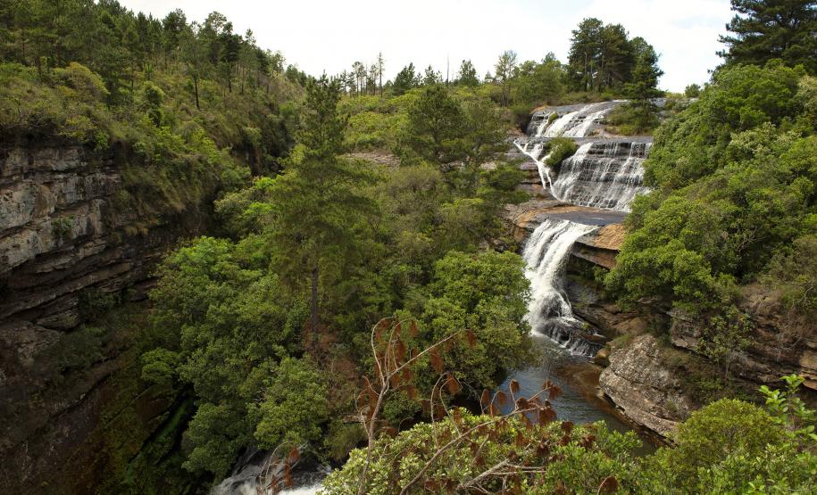 Foto de paisagem verde do Paraná