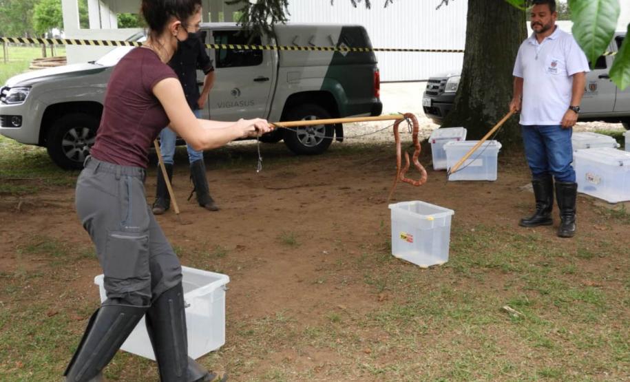 IAT alcança 1.485 voluntários com formação de nova turma de brigadistas
