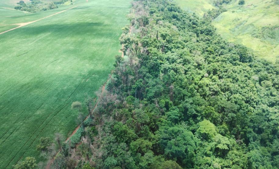 vIAT identificou 478 hectares de área de vegetação danificada por fogo em quatro fazendas de Ribeirão Claro, no Norte Pioneiro