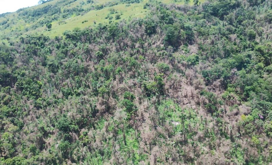 vIAT identificou 478 hectares de área de vegetação danificada por fogo em quatro fazendas de Ribeirão Claro, no Norte Pioneiro
